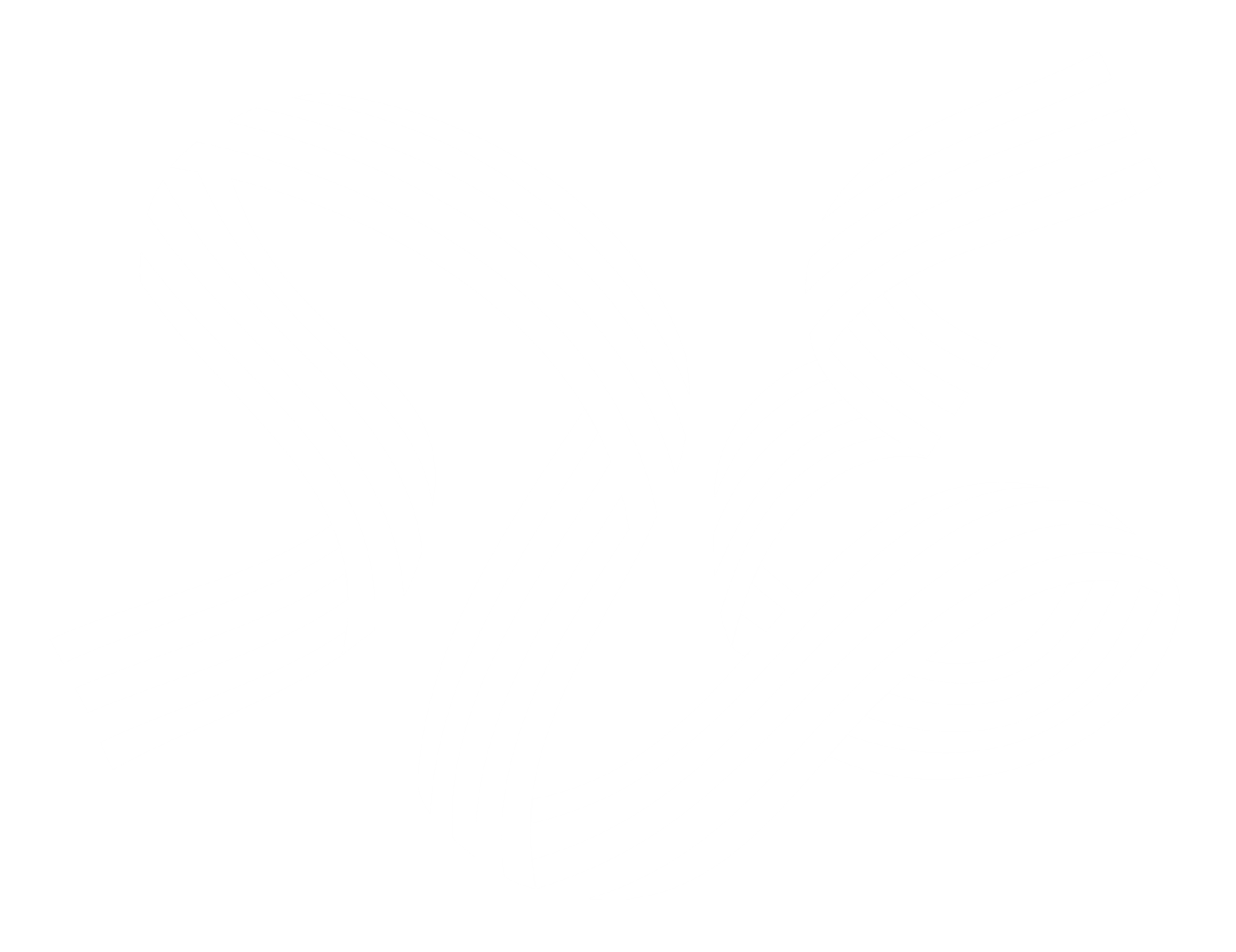Logo SE2026